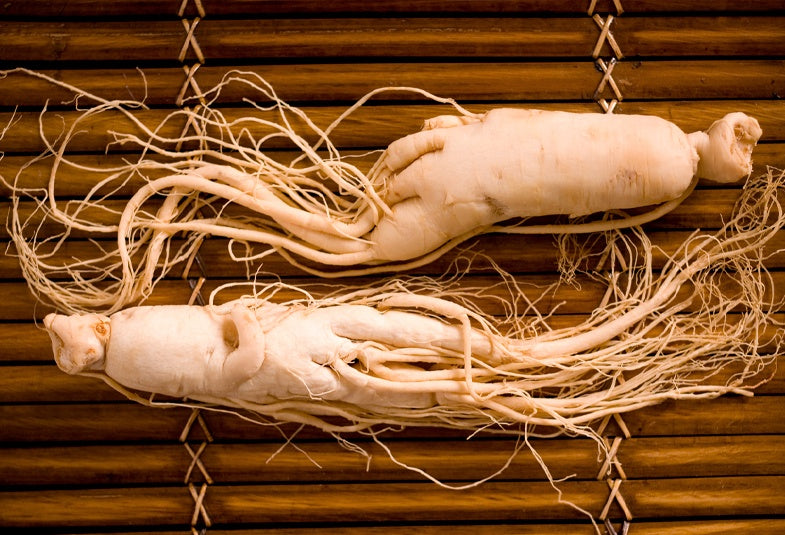 Ginseng siberiano ¿El motor natural para llevar tu resistencia física al siguiente nivel