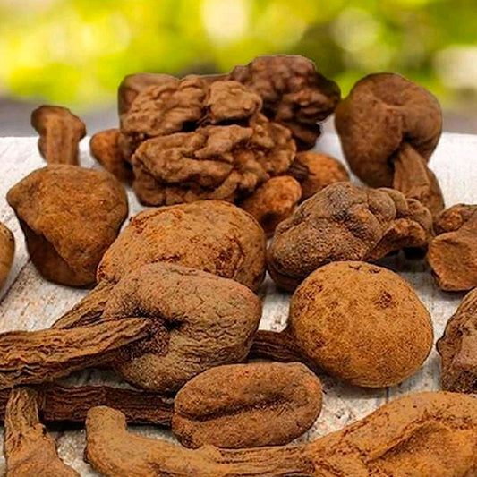 Huanarpo y Potencia Masculina: ¿El Aliado Natural que Tu Energía Estaba Buscando?